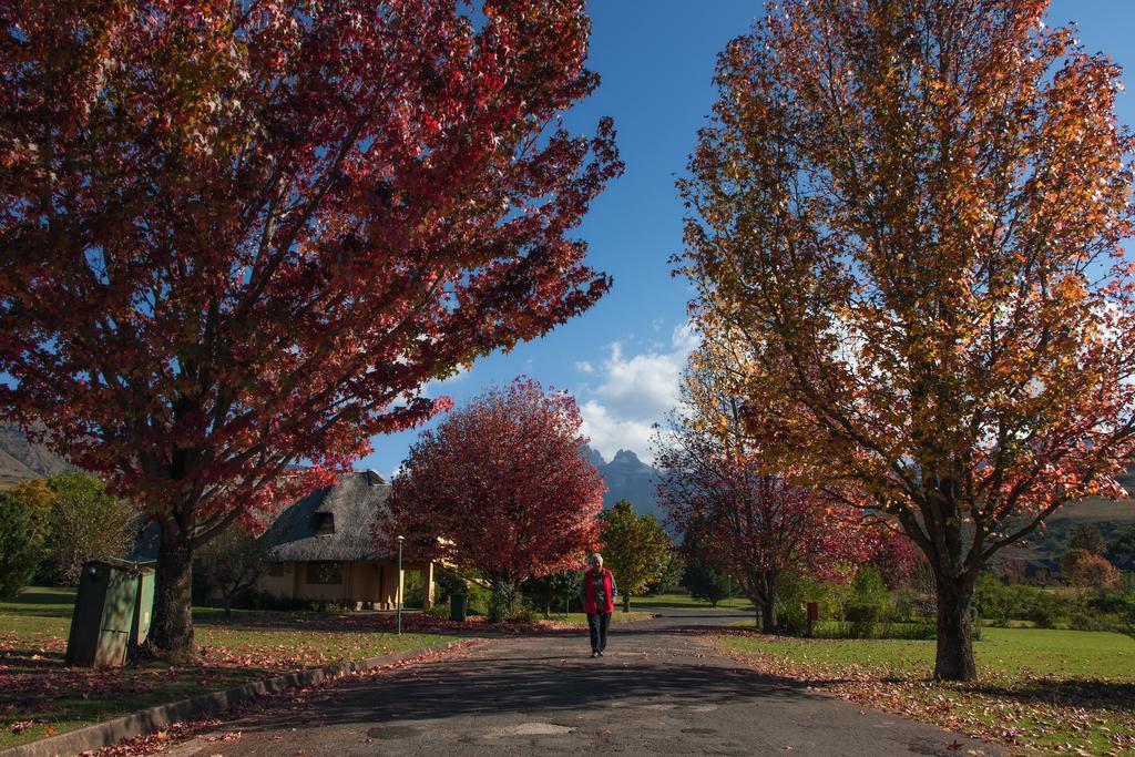 20 Mount Champagne Villa Champagne Valley Dış mekan fotoğraf